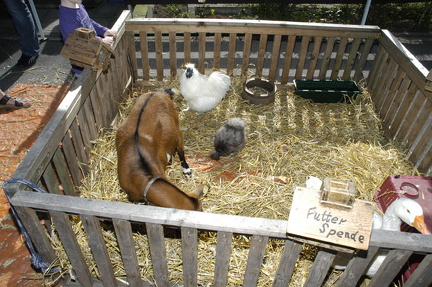 bild 06