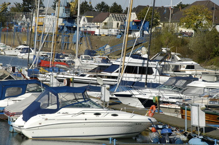 DSC 8192